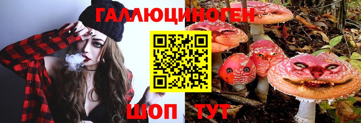 Томск  как найти закладки  Псилоцибиновые грибы прущие грибы  Вход с VPN  Псилоцибиновые грибы MAGIC MUSHROOMS 